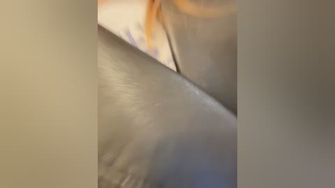 sunny___bunny free recording from 2026-03-06 01:43:00