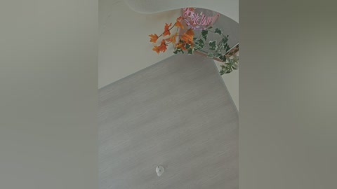 Video of a modern, minimalist ceiling with a large, circular skylight. Surrounding the skylight are vibrant, abstract floral decals in shades of pink, orange, and green. The ceiling and skylight are white, creating a clean, contemporary aesthetic.