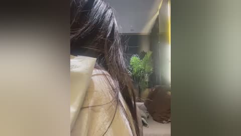 your_sunny free recording from 2026-03-06 01:43:00