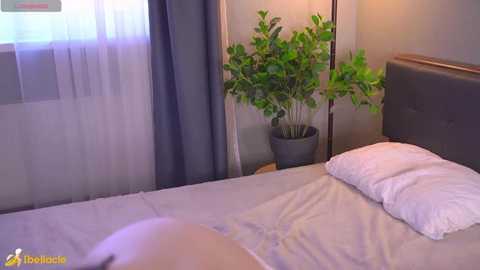 bellacle free recording from 2026-03-07 00:09:00