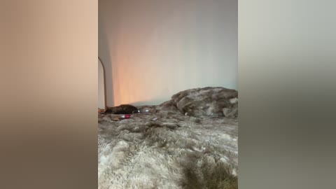 myc_hot free recording from 2026-03-07 00:06:00