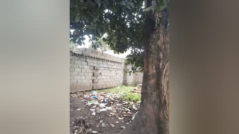 broan_me free recording from 2026-03-08 02:29:00