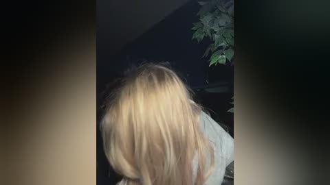 Video of a person with long, straight, blonde hair, facing away, in a dimly lit room with a potted plant in the background.