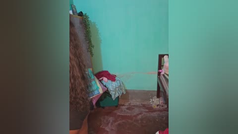 Video of a simple, small room with a green wall, a wooden table, a bed with colorful blankets, and a woven basket on the floor, giving a sense of modest living.
