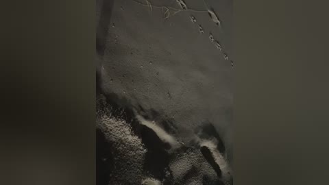 joel852 free recording from 2026-03-08 00:29:00