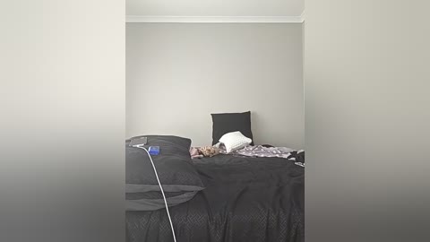 xyz089 free recording from 2026-03-09 02:06:00