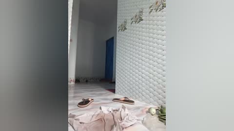 A video of a narrow, dimly-lit hallway with beige and white walls. Shoes are scattered on the floor, and a decorative patterned wall is visible on the right. The space feels unfinished and cluttered.