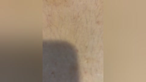 A video of a close-up of human skin, featuring a shadow cast on the lighter, smooth skin by a hand. The skin appears slightly textured with fine hairs. The image is blurry, with no discernible background or additional details.