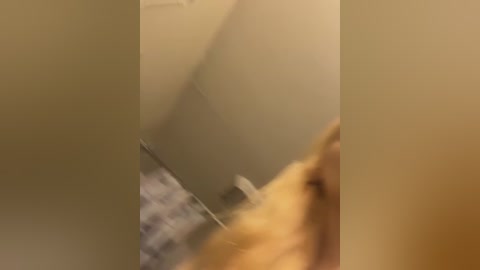 Video of a blurred, beige-colored room with a person's hand reaching towards the top left corner. The background is indistinct, with a hint of a white wall and a patterned rug in the lower right.