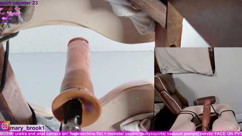 marybrook1 free recording from 2026-03-09 02:06:00