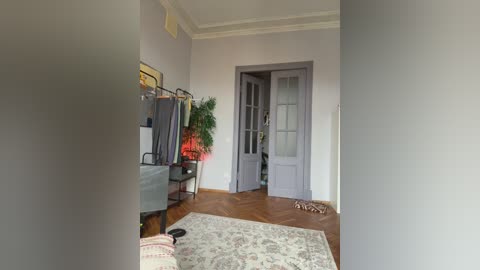 Video of a minimalist, modern living room with light gray walls, wooden floor, a herringbone-patterned rug, and a large potted plant beside a glass-door entryway.
