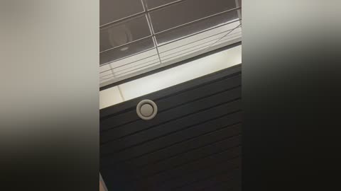 sunny___bunny free recording from 2026-03-09 00:55:00