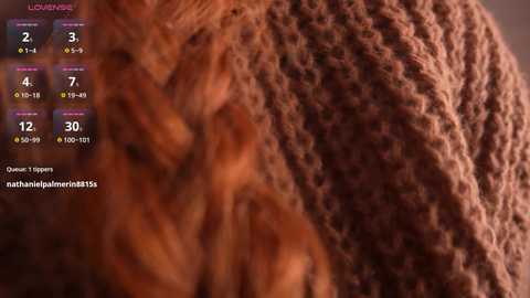 Close-up video of a brown, shaggy dog's fur with a soft, textured appearance. The background is blurred, with a digital interface displaying \"Louder\" and \"Quieter\" volume controls and a \"matlab\" watermark.