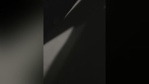 A video of a sleek, black pen with a silver tip, positioned diagonally, against a dark background. The image is high-contrast, with the pen sharply in focus, highlighting its modern design.