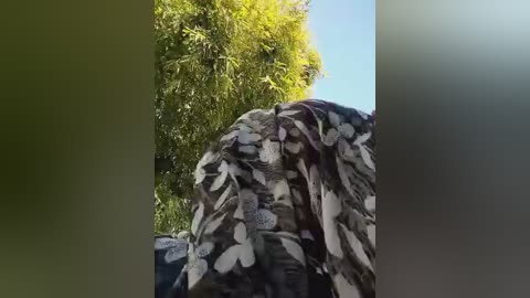 Media: A video of a person with light skin and a medium build, wearing a black and white patterned shirt, bent over in a lush, green outdoor setting under a clear blue sky.