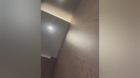 Video of a narrow, dimly lit hallway with smooth, light brown walls and a glossy, reflective ceiling. The ceiling is slightly off-center, casting a bright light beam towards the left wall. The floor is not visible.