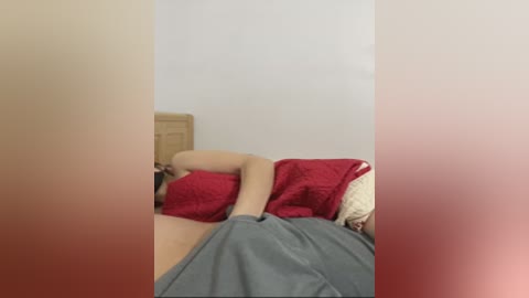 Media: Video of a person lying on a bed with a red blanket, wearing a gray shirt, in a dimly lit, minimalistic bedroom with white walls.
