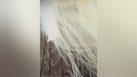 mila_norules free recording from 2026-03-11 00:44:00