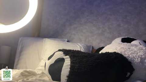 notecarret free recording from 2026-03-11 00:45:00