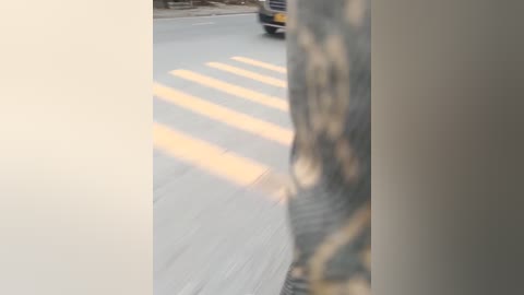 A blurry video captures a street scene, with a person in the background partially obscured by a tall, textured tree. The pavement is wet, casting long, bright reflections. A parked car is visible on the right.