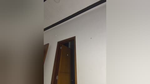 Video of a bare, unfinished interior wall with a wooden door partially open, revealing a dark interior. The wall is painted white, and the ceiling is plain with a faint, circular light fixture.