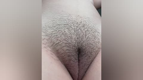 gaby_herrera free recording from 2026-04-15 00:06:00